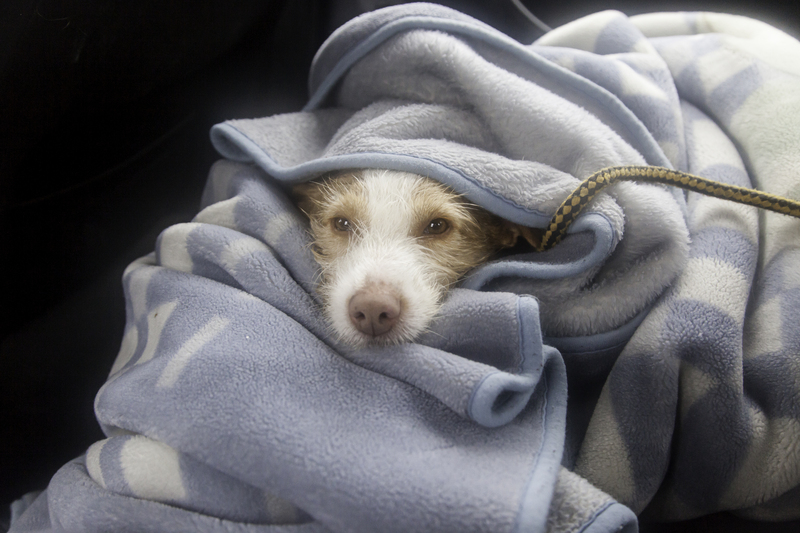 Moving supplies boxes